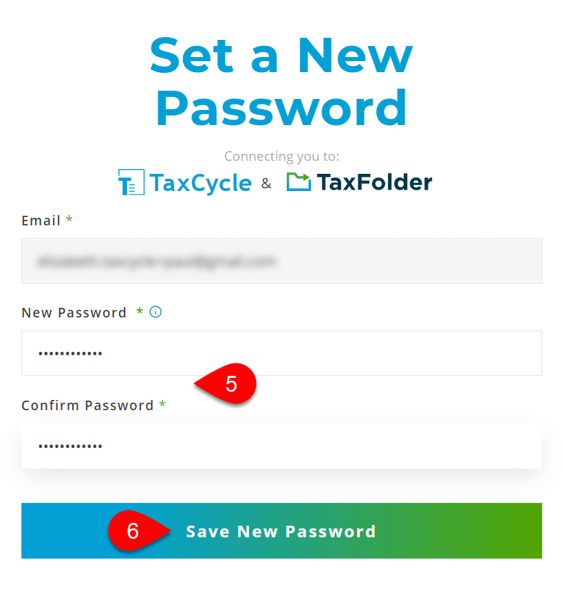 Screen Capture: Set a New Password after reset