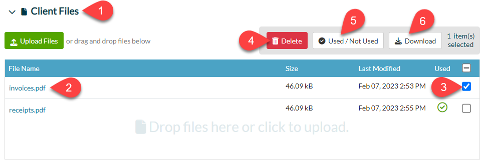 Screen Capture: View Client Files in TaxFolder