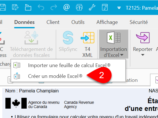 Screen Capture: Create Excel Template