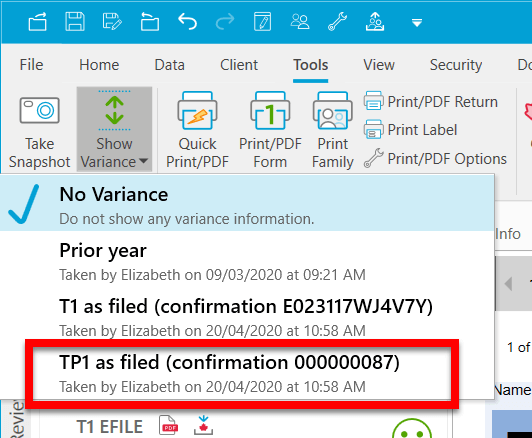 Screen capture showing the TP1 as-filed snapshot