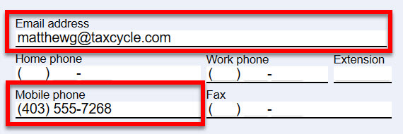 Screen Capture: Email and Phone on Info Worksheet