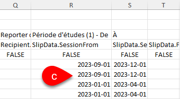 Screen Capture: Date format to enter in Excel template