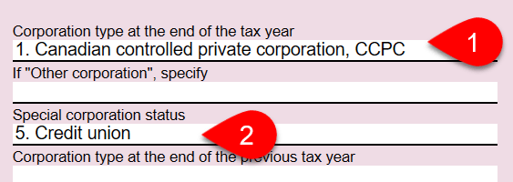 Screen Capture: T2 Info Worksheet