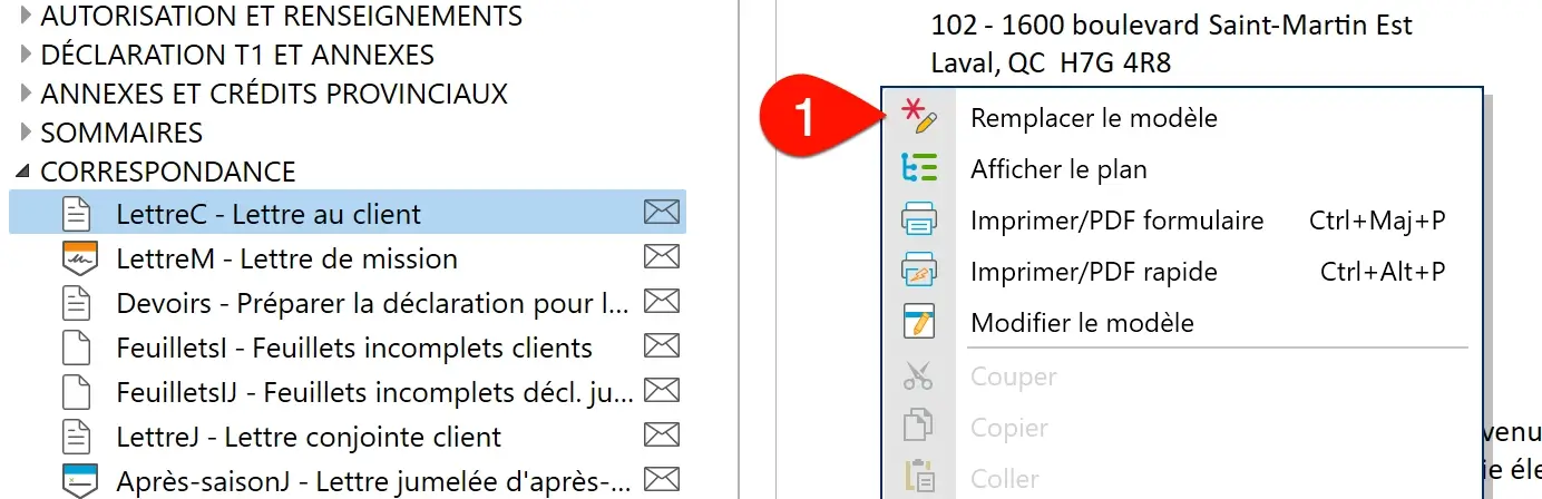 Capture d'écran&nbsp;: remplacer le modèle