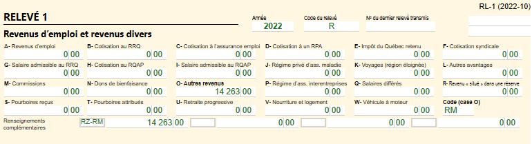 ‌Capture d'écran : Aperçu avant impression du relevé 1