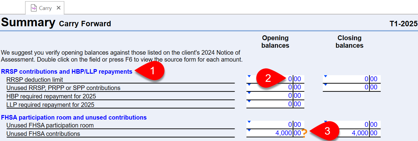 Carryforward Summary