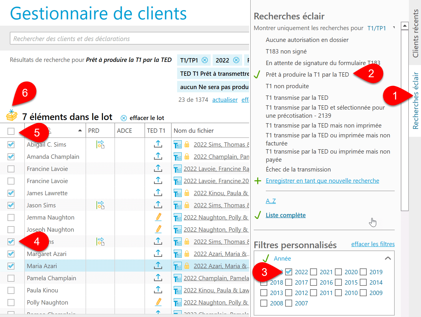 Capture d'écran : Gestionnaire de clients prêt pour la TED T1