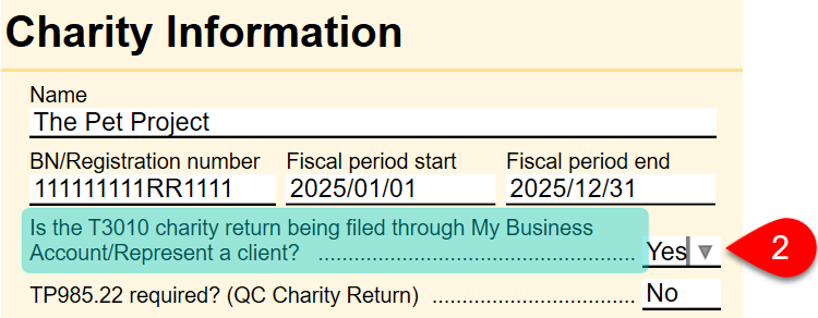 Screen Capture: T3010 online filing question on the Info worksheet