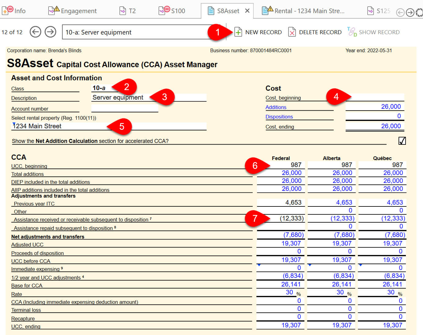 Screen Capture: S8Asset CCA Asset Manager