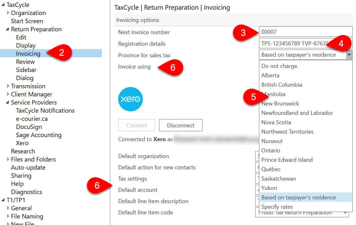 Screen Capture: Invoicing Options