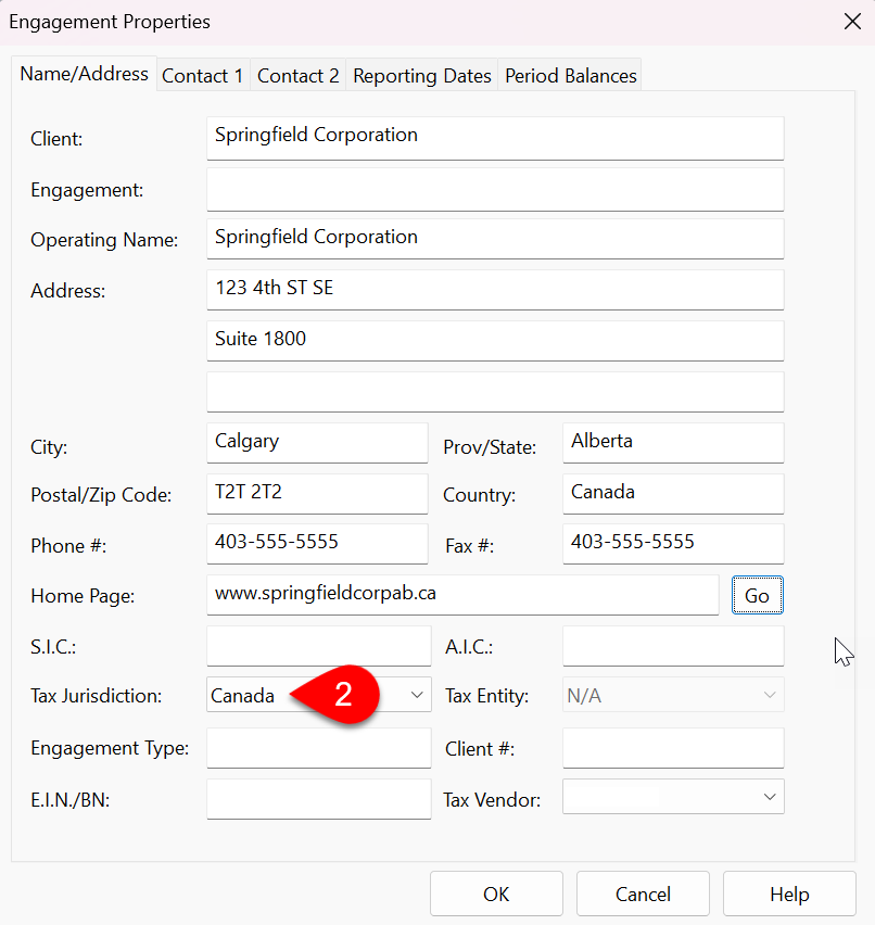 Screen Capture: Engagement Properties in Caseware Working Papers