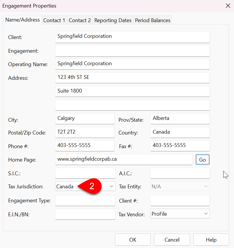 Screen Capture: Engagement Properties in Caseware Working Papers