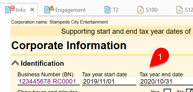 Screen Capture: Info worksheet tax year dates