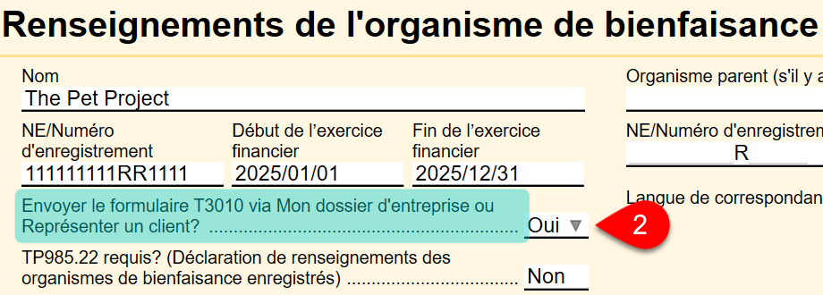 Screen Capture: T3010 online filing question on the Info worksheet