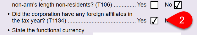 Screen Capture: T1134 Question on the Info Worksheet