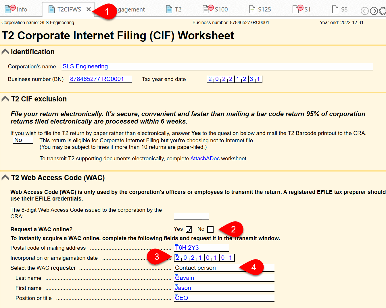 Screen Capture: T2CIFWS worksheet