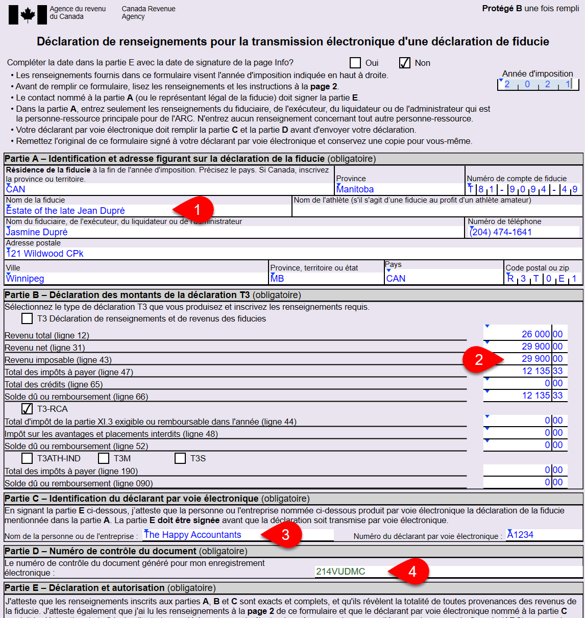 Screen Capture: T183TRUST for a Trust Return