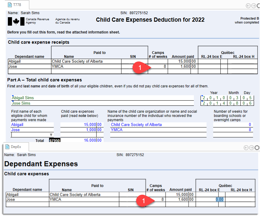 Screen Capture: T778 and DepEx for child care expenses