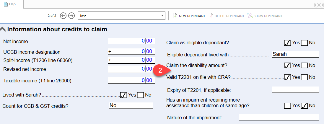 Screen Capture: Disability fields on the Dep worksheet