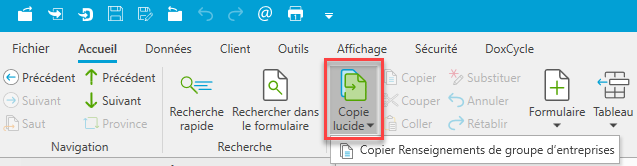 Capture d'écran : Copie lucide des renseignements de groupe d’entreprises