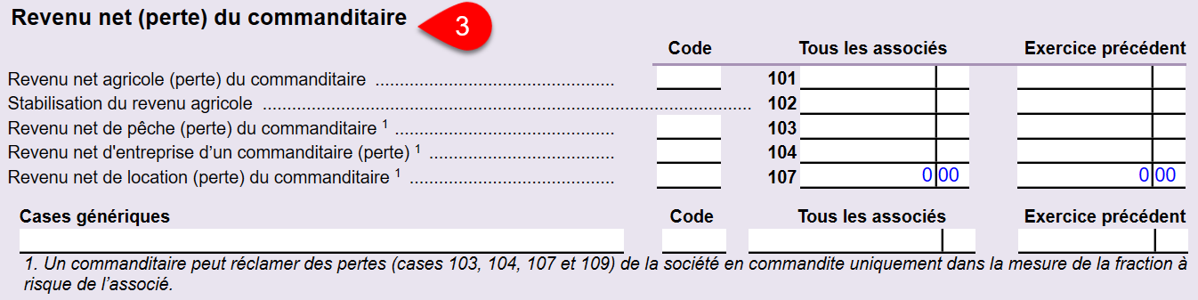 Capture d'écran : Revenu net du commanditaire