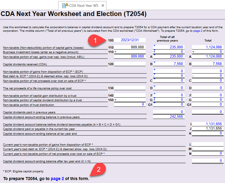 Screen Capture: Next Year CDA worksheet and T2054