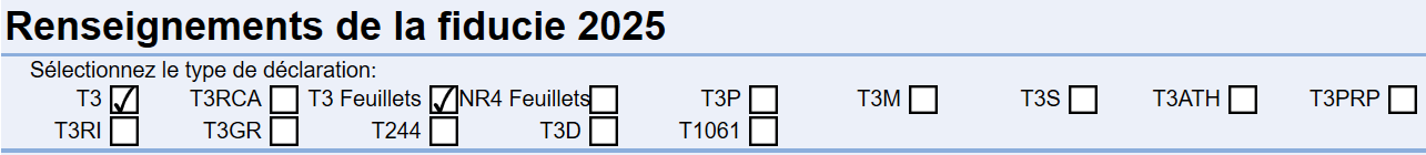 Capture d'écran : grille de calcul Info