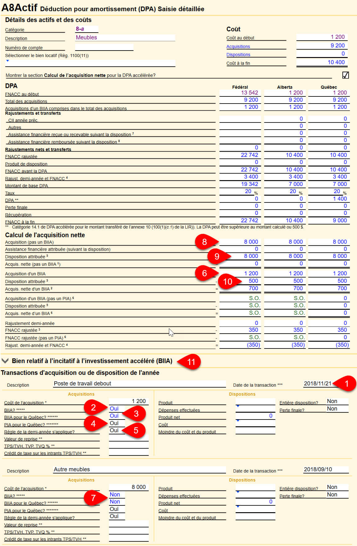 2019-a8actif-dpa-acceleree