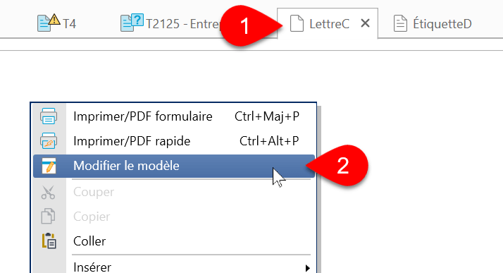 Capture d’écran : Open the Template Editor