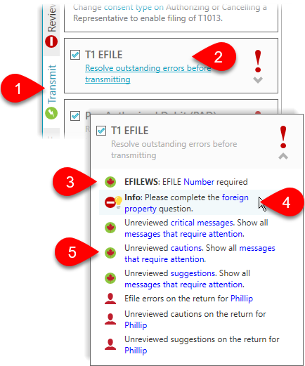 Resolve outstanding EFILE errors