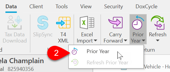 Screen Capture: Data Menu | Prior Year