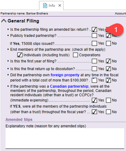 Screen Capture: General Filing section on the Info worksheet