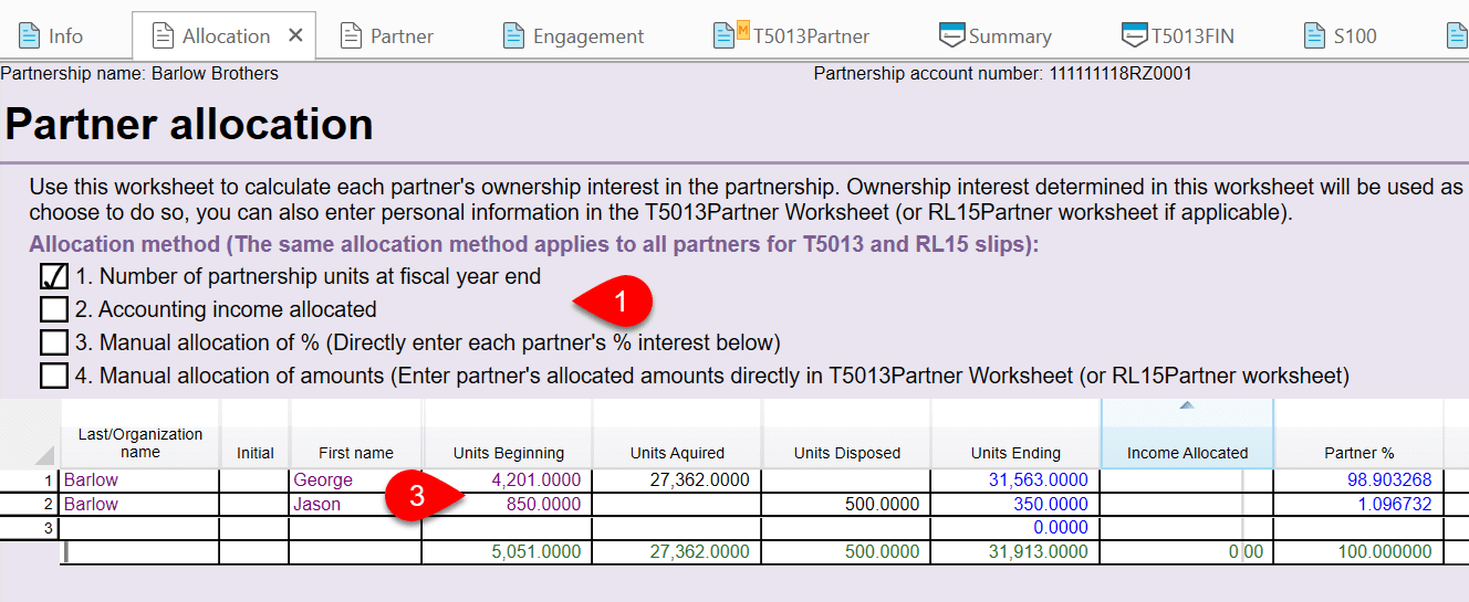 Screen Capture: Allocation Worksheet
