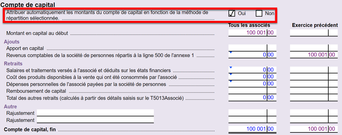 Capture d'écran : Compte de capital