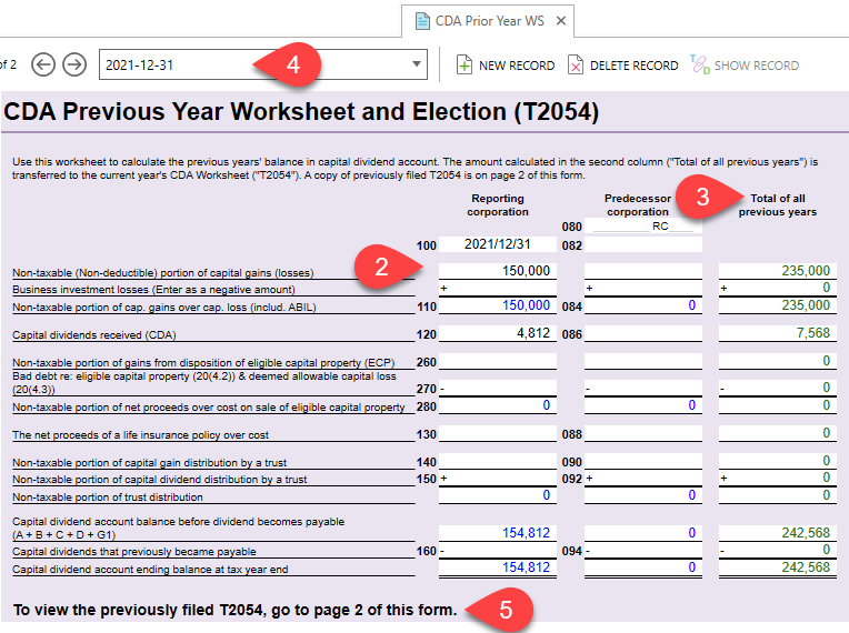 Screen Capture: Complete the CDA Prior Year worksheet