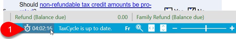 Screen Capture: Timer