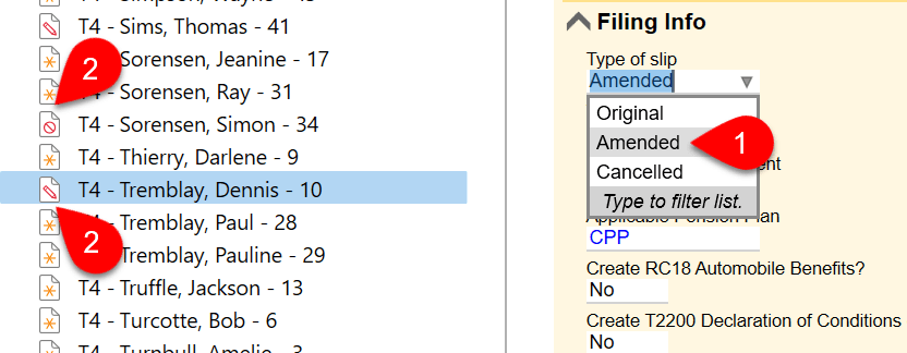 Screen Capture: Slip Type Field and Amended Icon