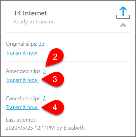 Screen Capture: Transmit Amended Slips