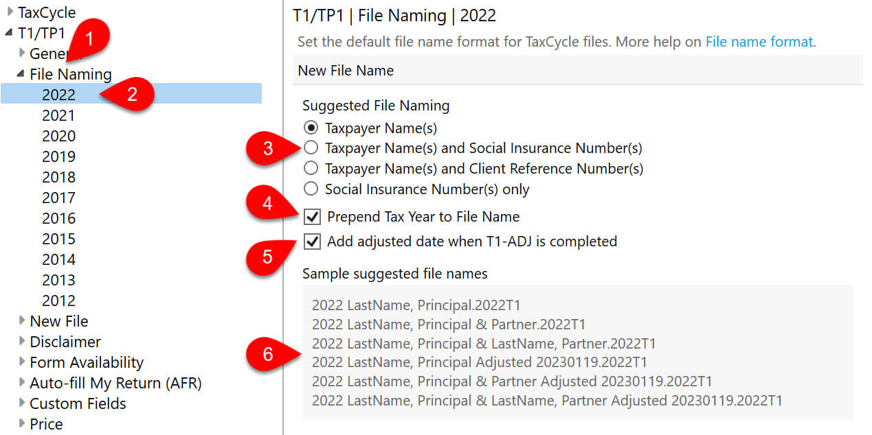 Screen Capture: File Naming Options