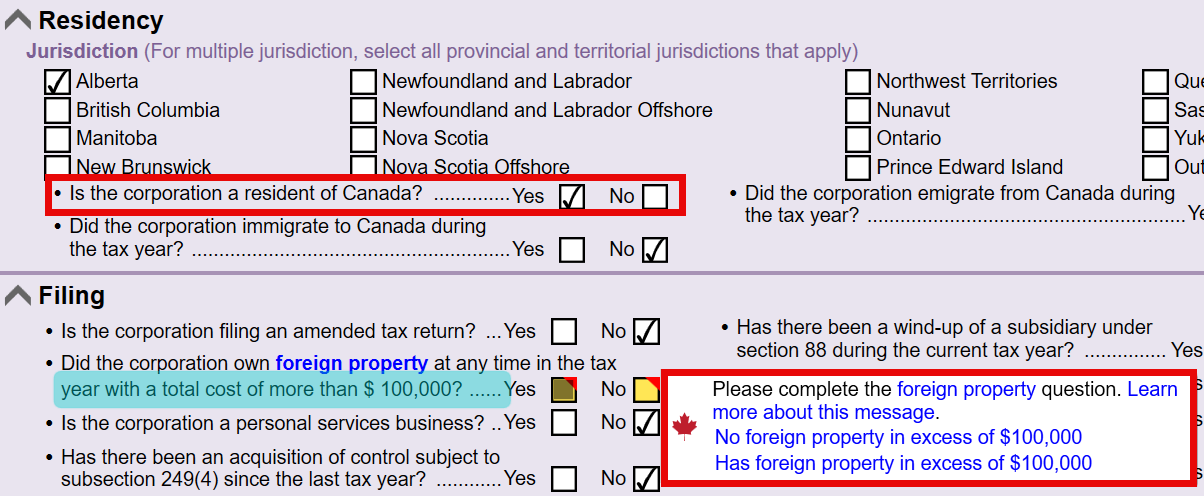 Screen Capture: Residency question on the Info worksheet