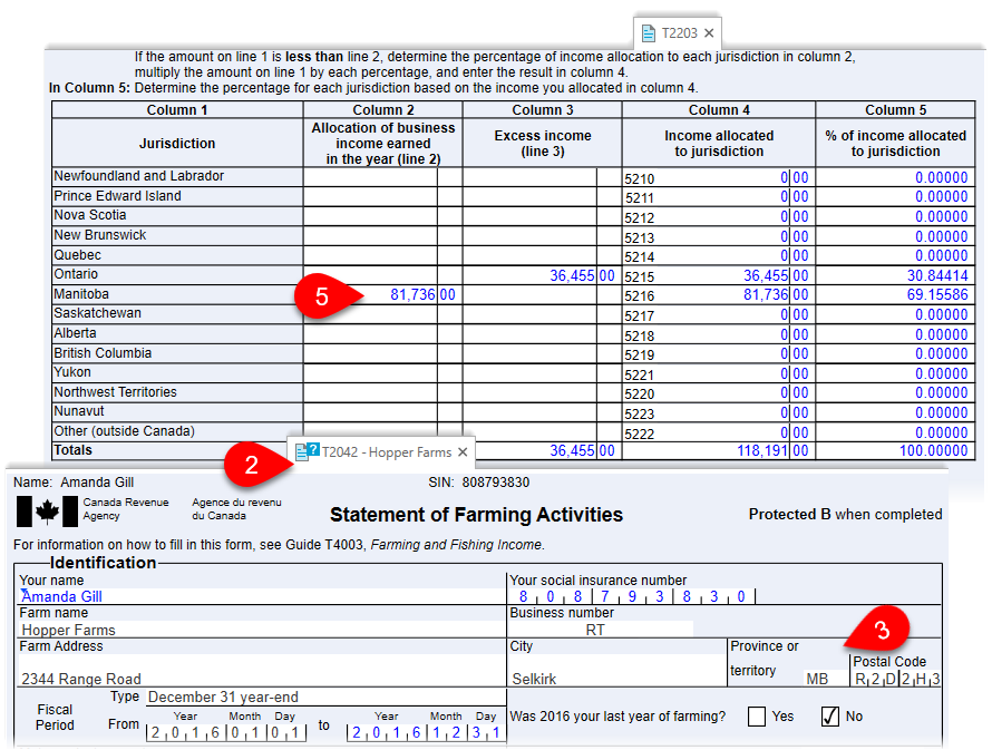 multiple jurisdictions t2203 taxcycle what is a year to date balance sheet