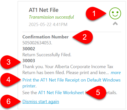 AT1 return successfully filed