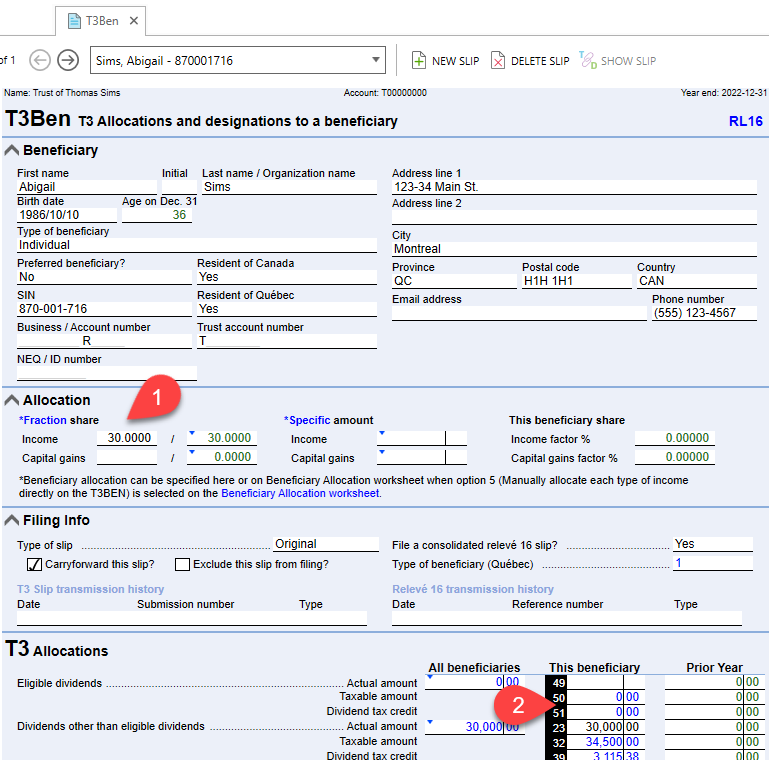 Screen Capture: Allocation Section on T3Ben