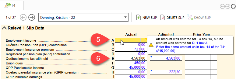 Screen Capture: Relevé 1 Slip Data section on the T4 slip