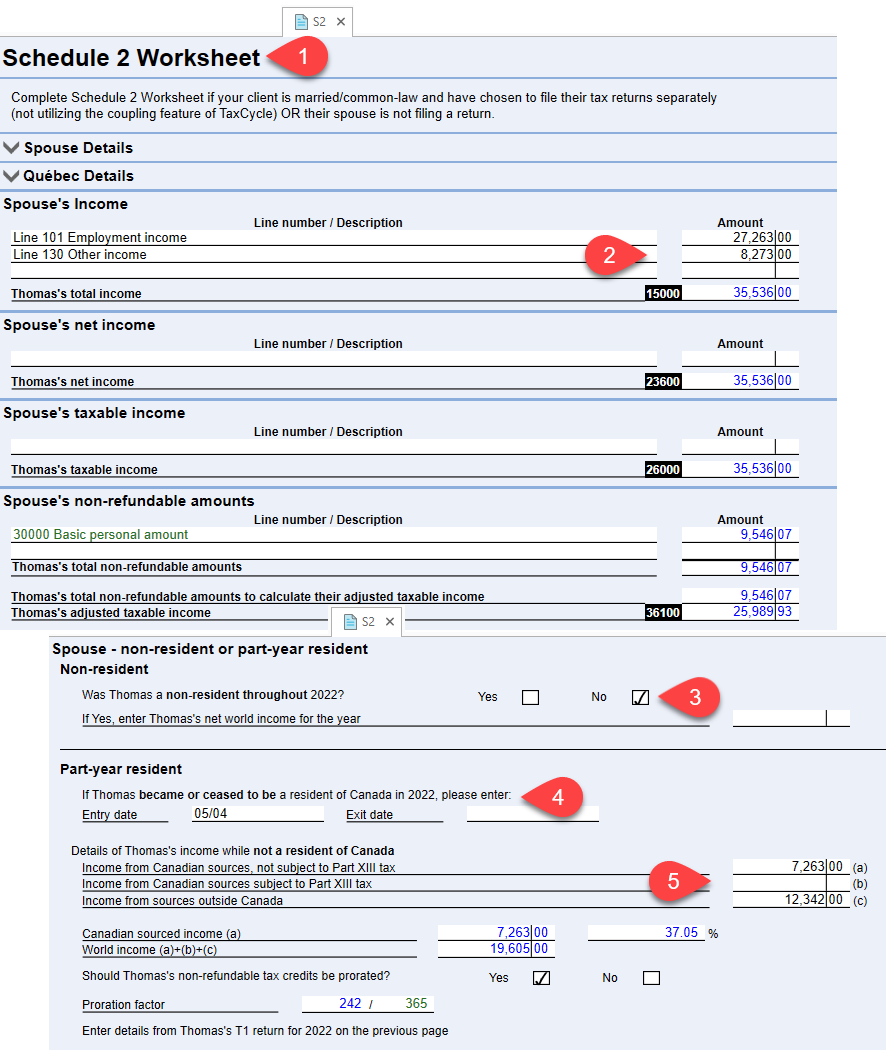 Screen Capture: S2 Worksheet