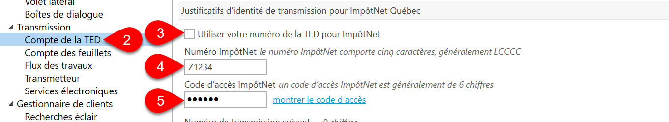 Screen Capture: options ImpôtNet Québec