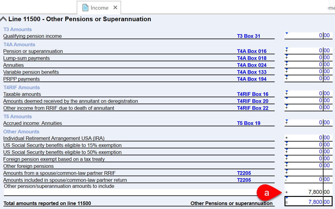 Screen Capture: Income worksheet