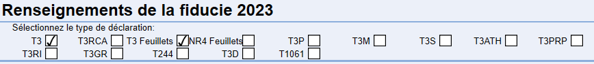 Screen Capture: T3 return types at the top of T3 Info worksheet
