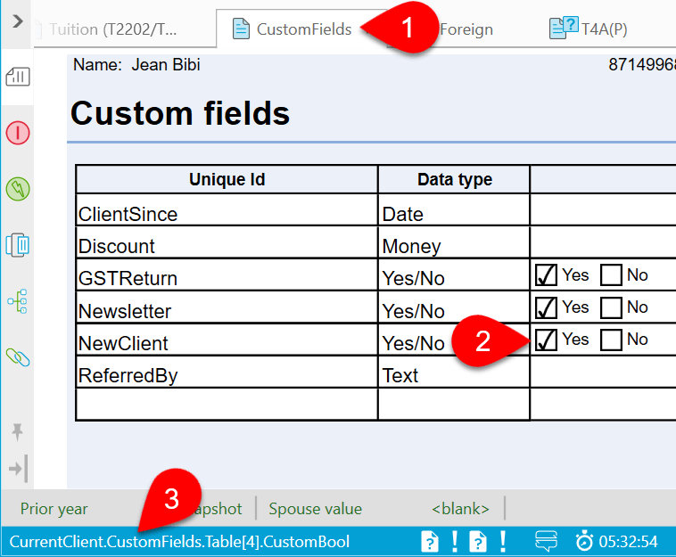 Screen Capture: Copy the Field Code