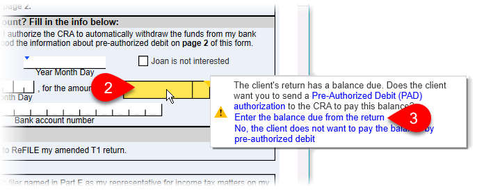 Enter the amount owing on the return